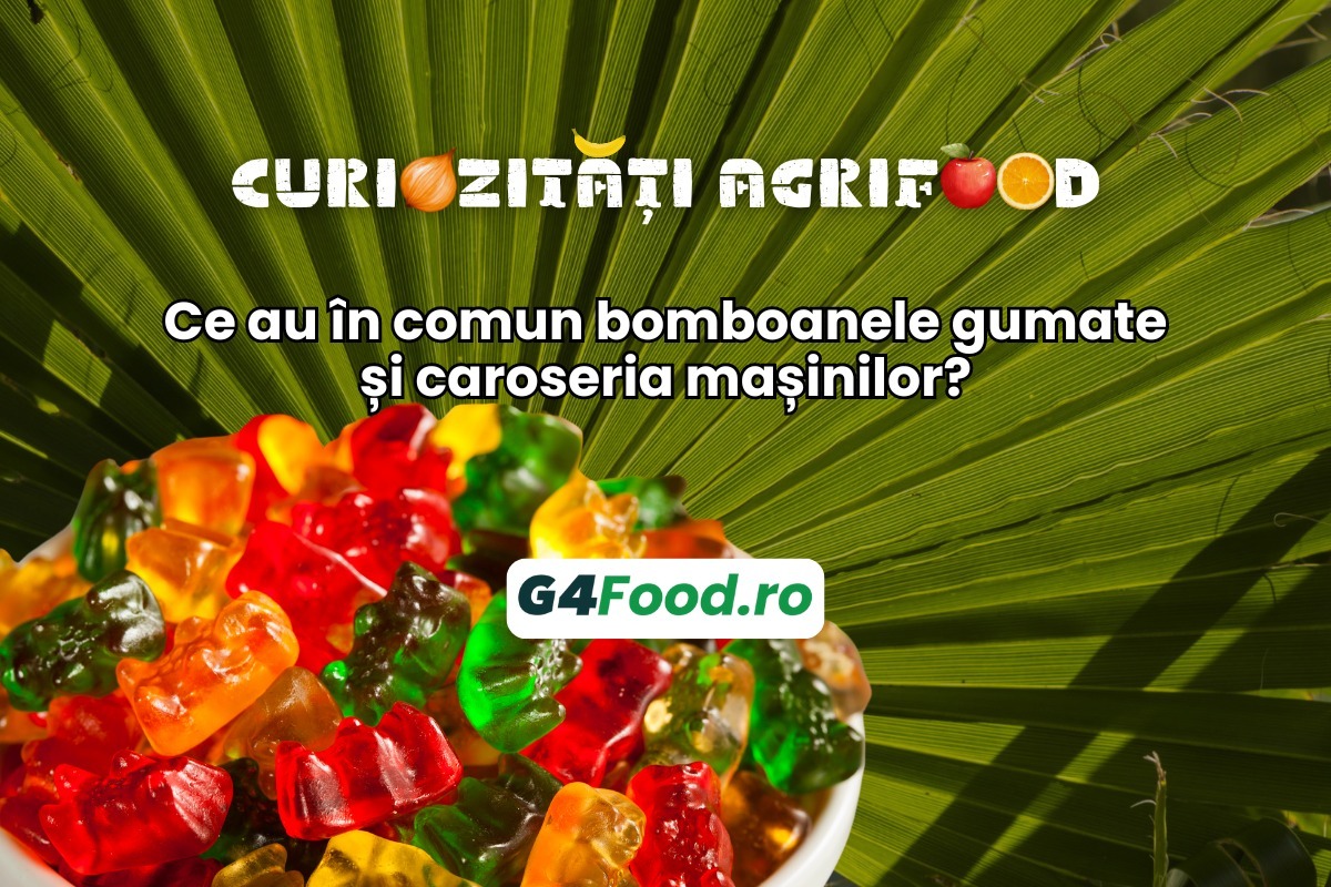 TN SITE- G4Food(1)