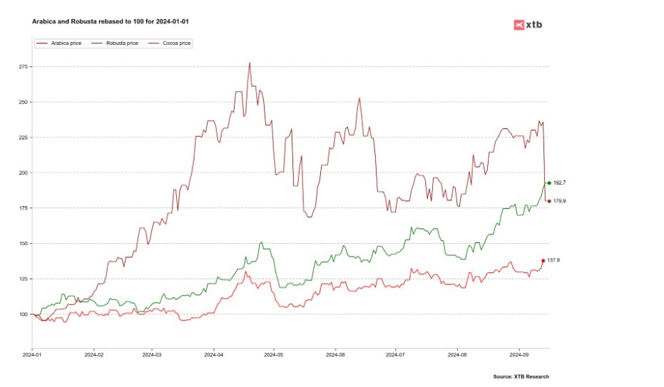 Evoluția prețurilor la cacao, Robusta și Arabica de la începutul anului 2024. Sursă: Bloomberg Finance LP, XTB