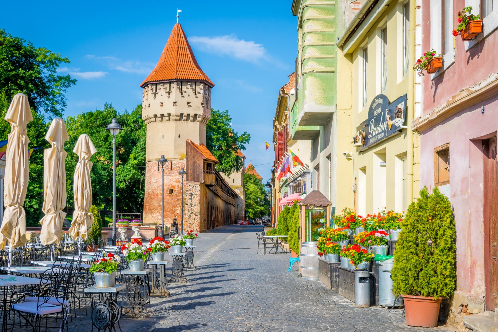 Foodie – Street Food CuisineFoodie – Street Food Cuisine Sibiu septembrie 2024