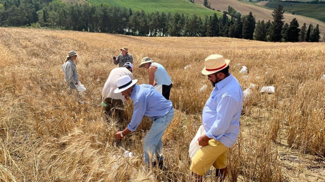 Premiile EUOrganic, agricultura ecologica, Comisia Europeana