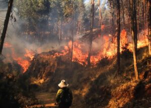 Stare de urgență în Peru, din cauza incendiilor / Sursa foto: X (ITR Oficial)