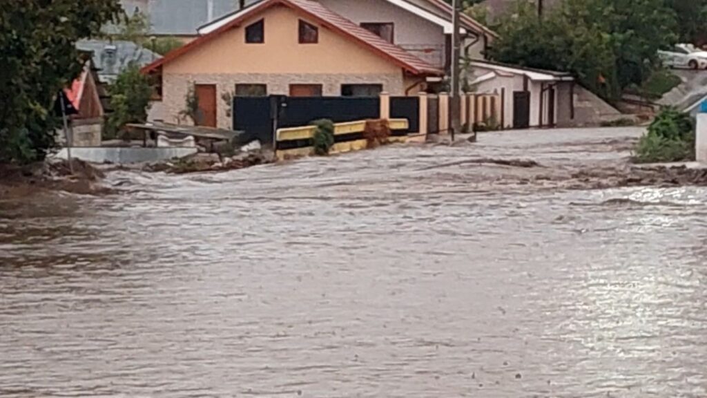 inundatii, Galati, animale, ferme