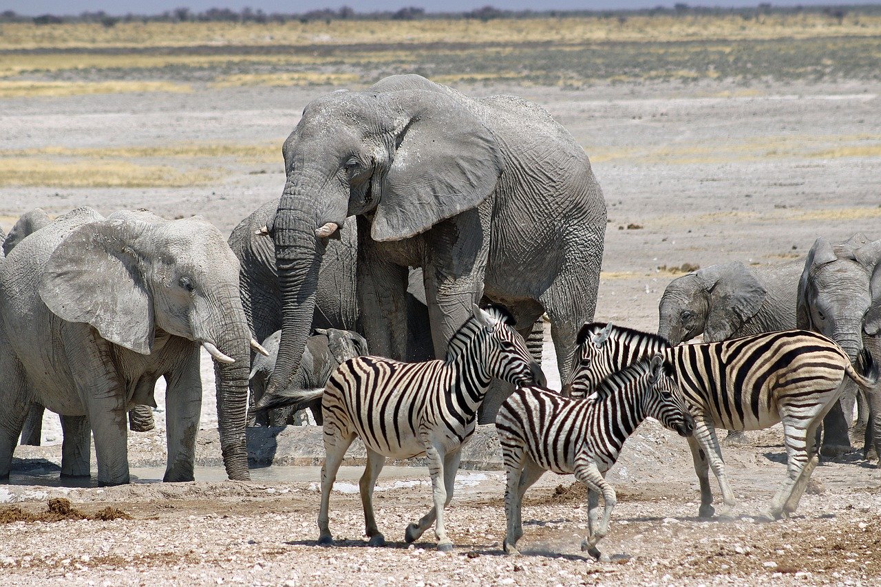 namibia