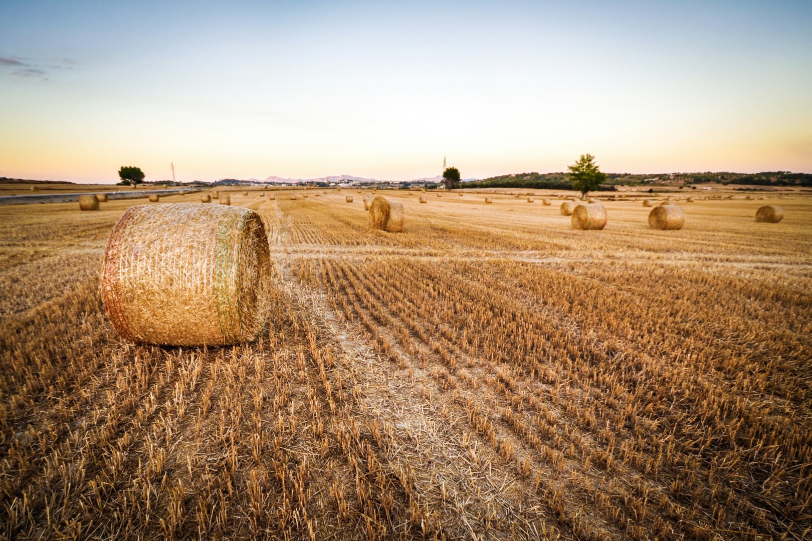 reuniunea ministrilor agriculturii