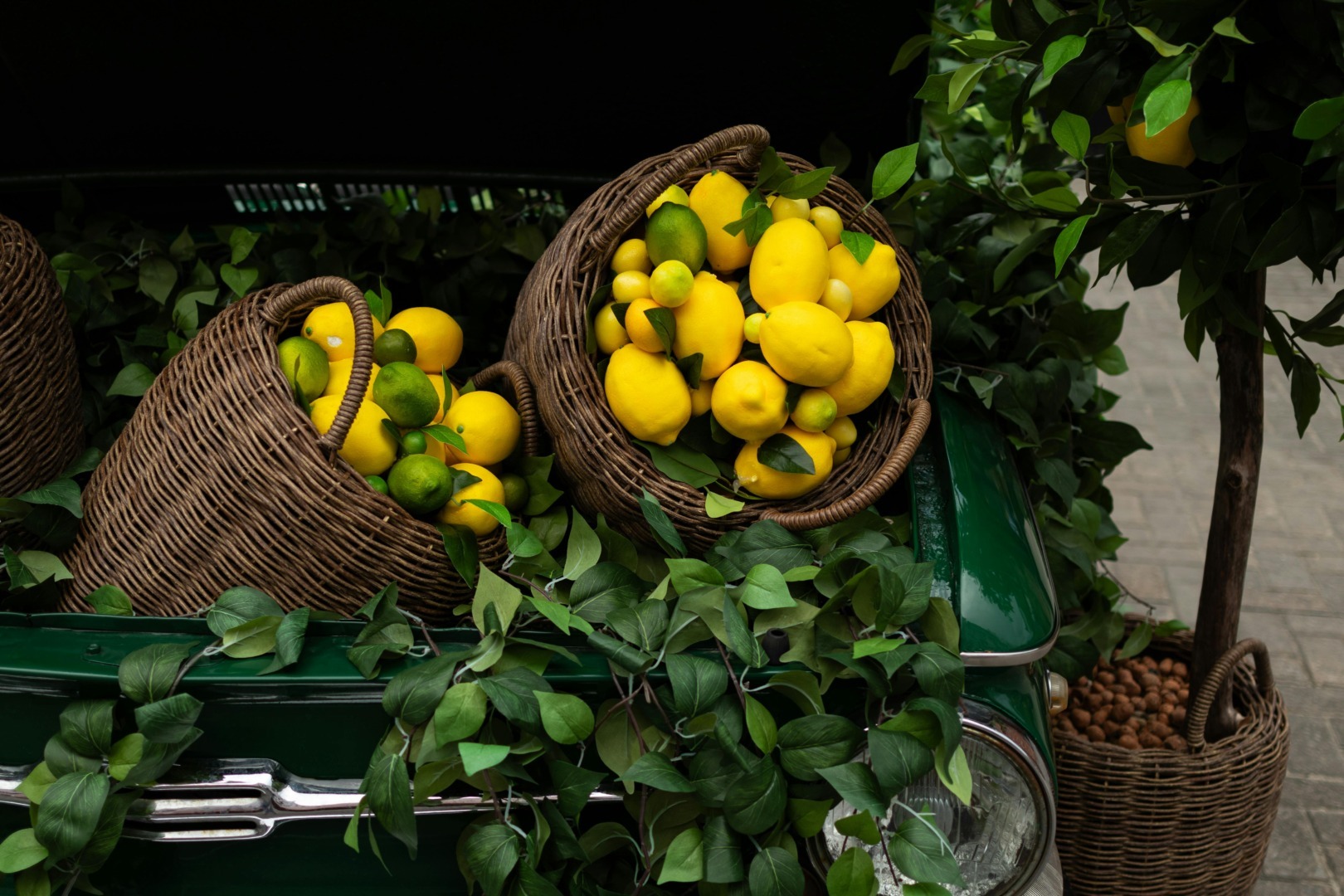 lămâi, bio, piața lidl, beneficii, gastronomie