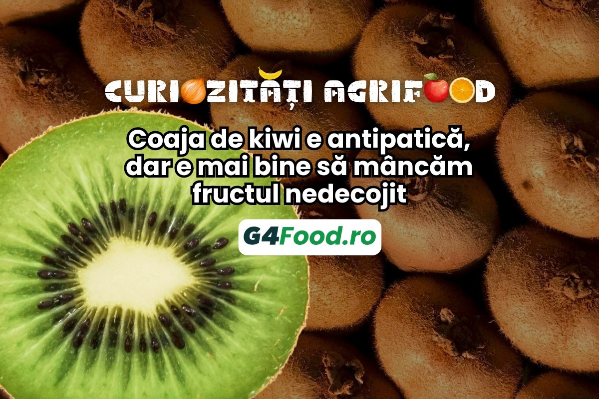 fructe de kiwi, kiwi, kiwi cu coaja