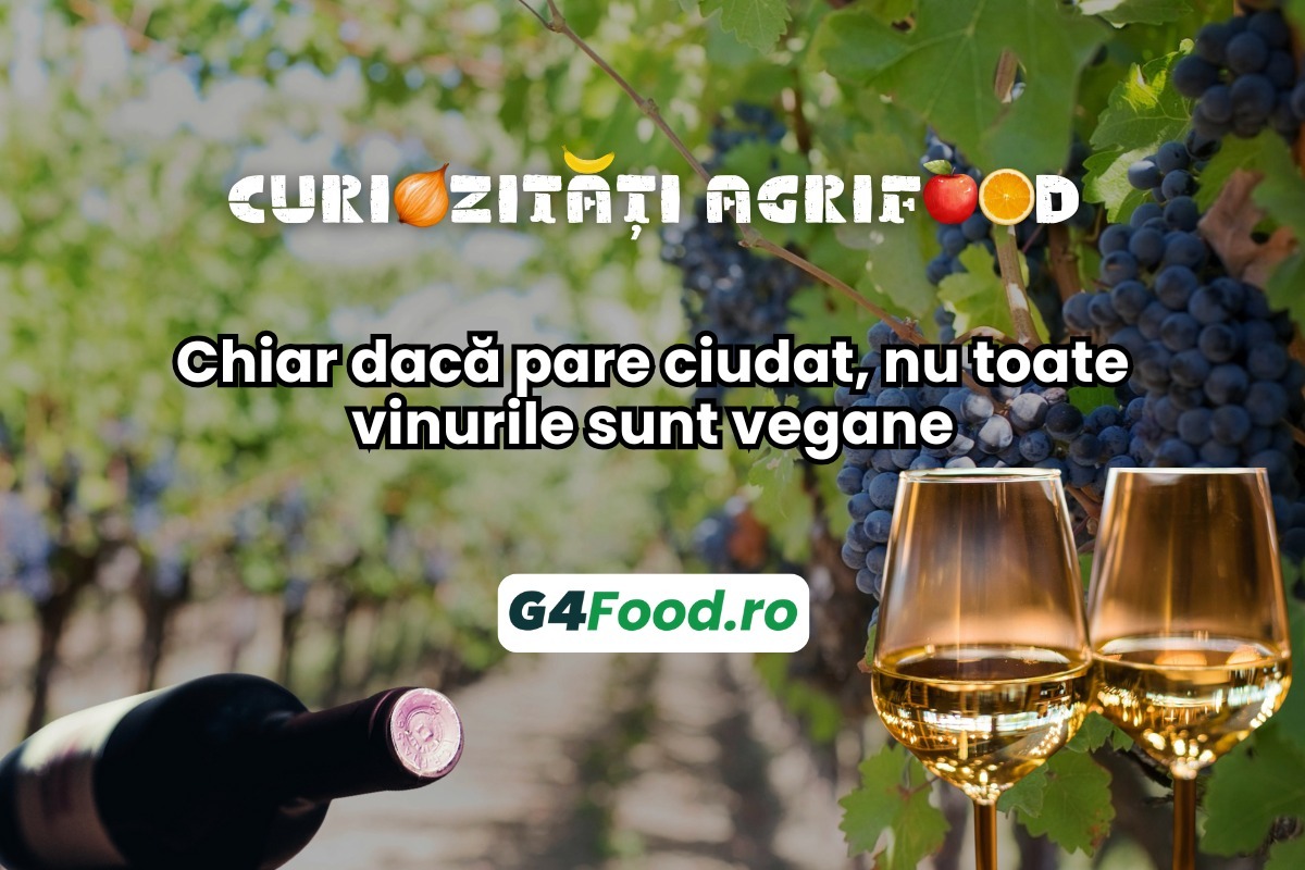 vin vegan curiozitati agrifood