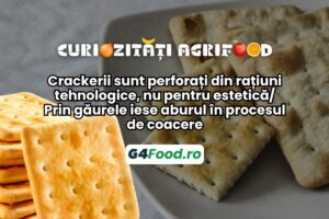 cracker curiozitate agrifood