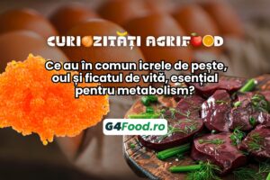 colina ficat de vita icre de pește metabolism ouă vitamina J