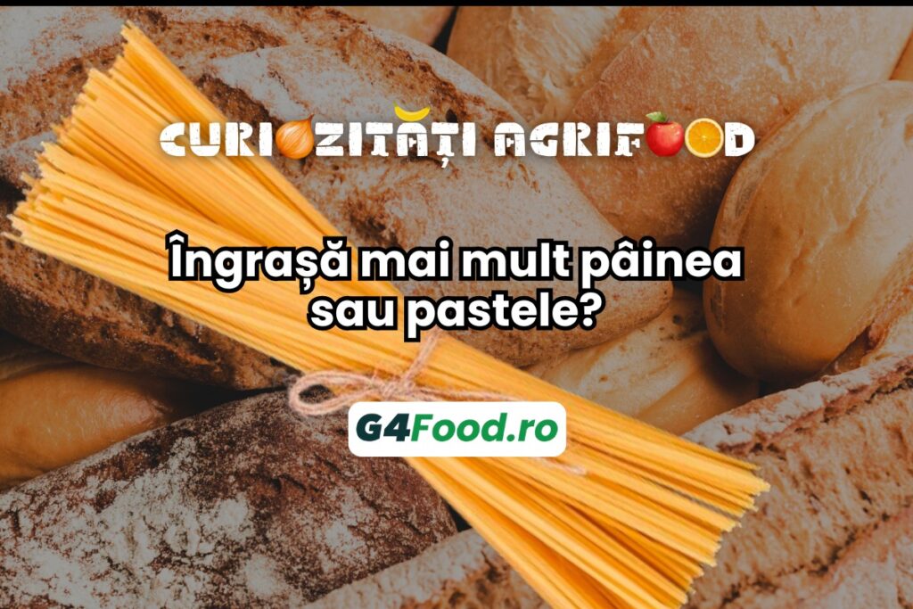 SITE TN - G4FOOD - painea sau pastele