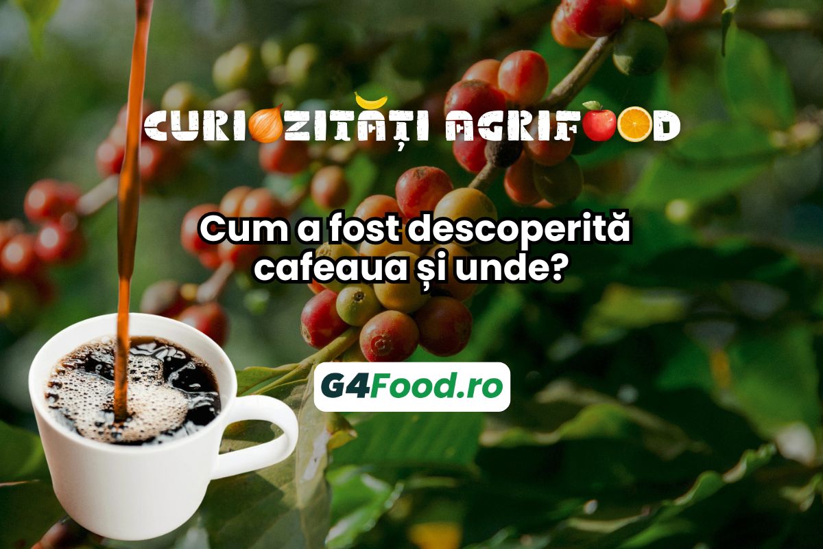 SITE TN - G4FOOD(2)