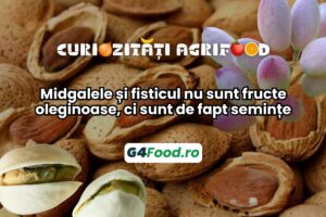 istic fructe oleaginoase migdale semințe