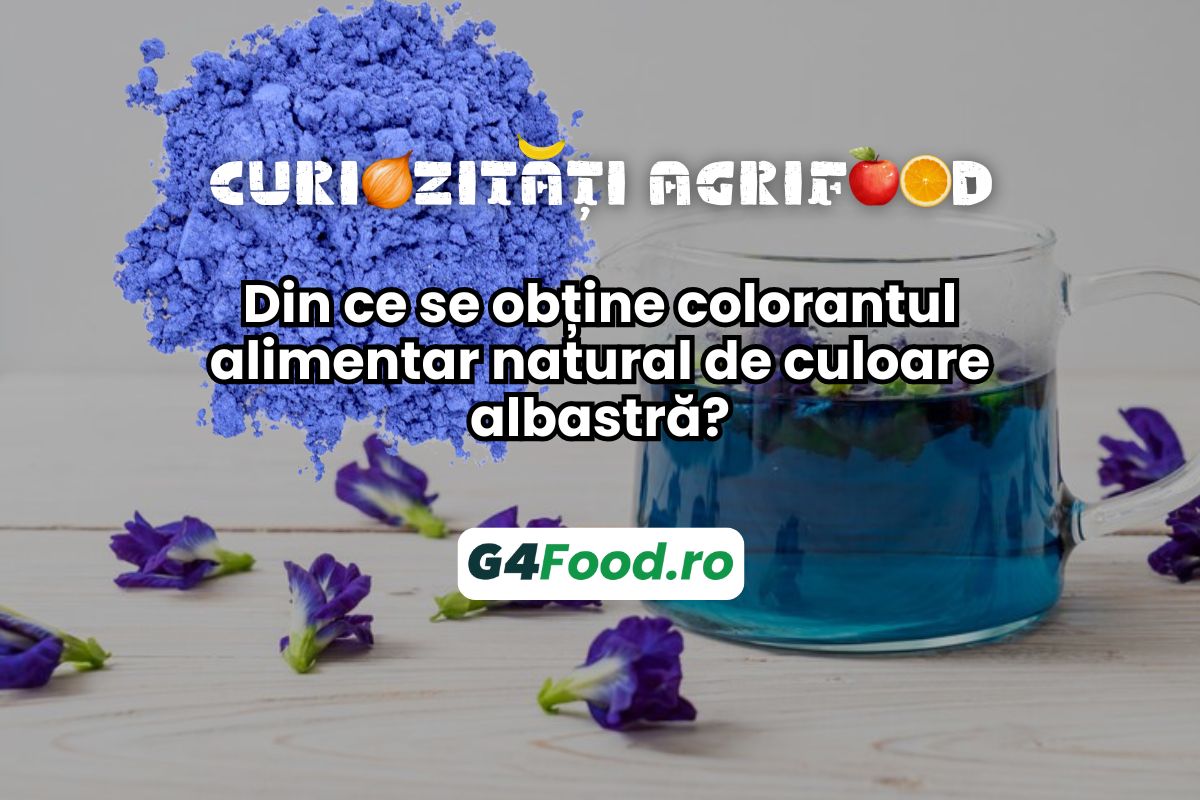 butterfly pea colorant alimentar antioxidanti