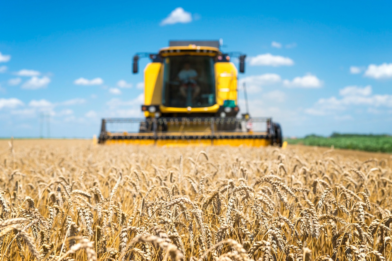 Agricultura din România va deveni eficientă