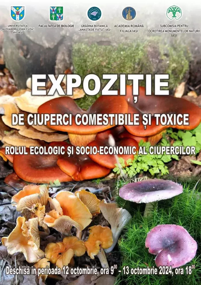 Expoziție inedită la Iași: Ciuperci comestibile și toxice, expuse la Grădina Botanică „Anastasie Fătu” 