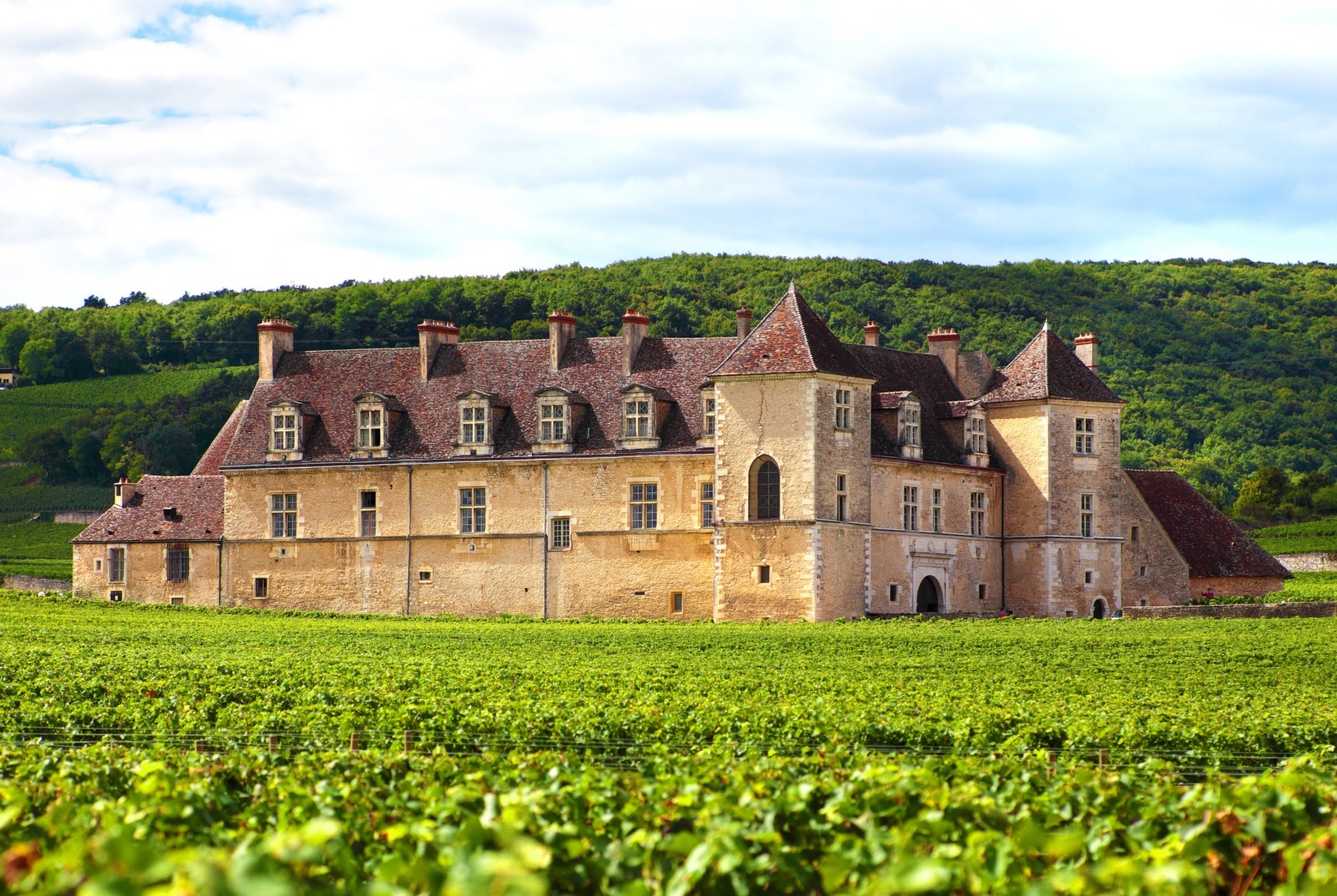 Bourgogne Lvmh plantatie de vie polemici