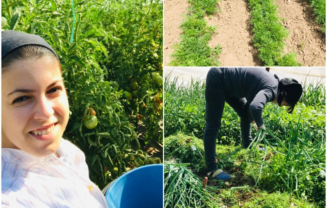 agricultură, alimentație sănătoasă, poveste de familie, Băleni, Mădălina Chiriță