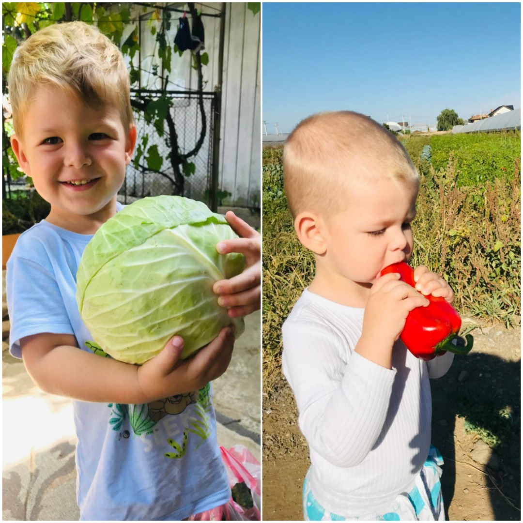 agricultură, alimentație sănătoasă, poveste de familie, Băleni, Mădălina Chiriță