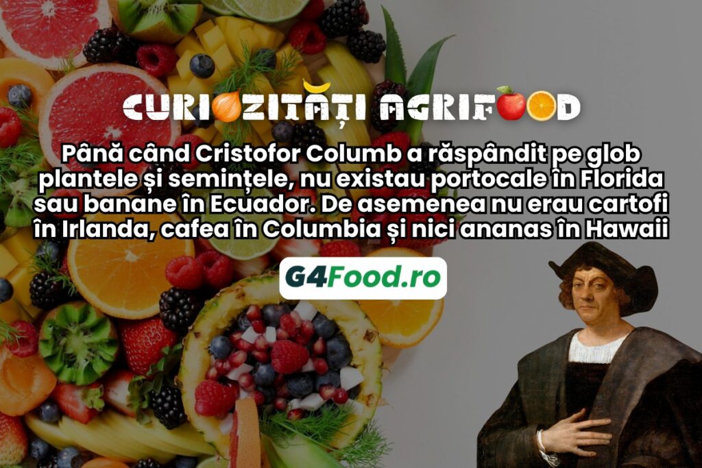 cristofor columb