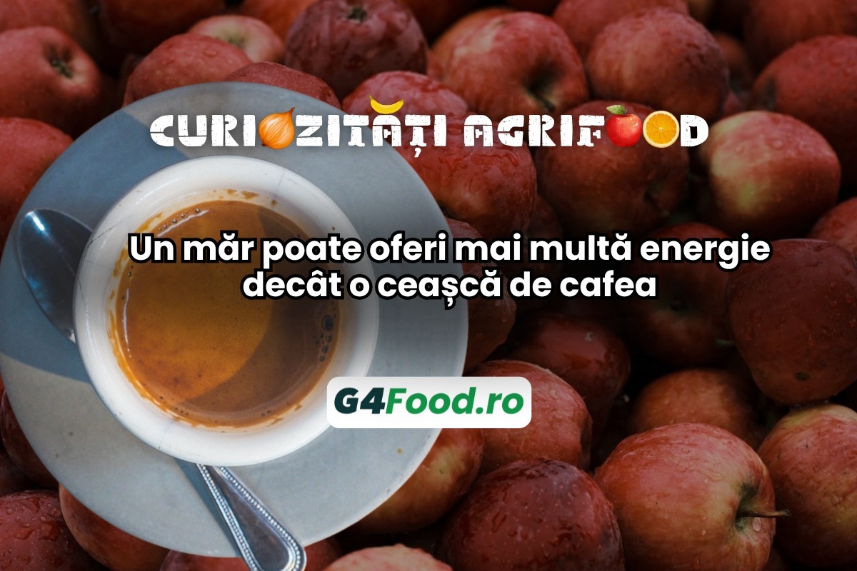 G4FOOD Curiozități agrifood (1)