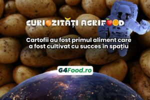 Curiozități agrifood - Cartofii au fost primul aliment care a fost cultivat cu succes în spațiu