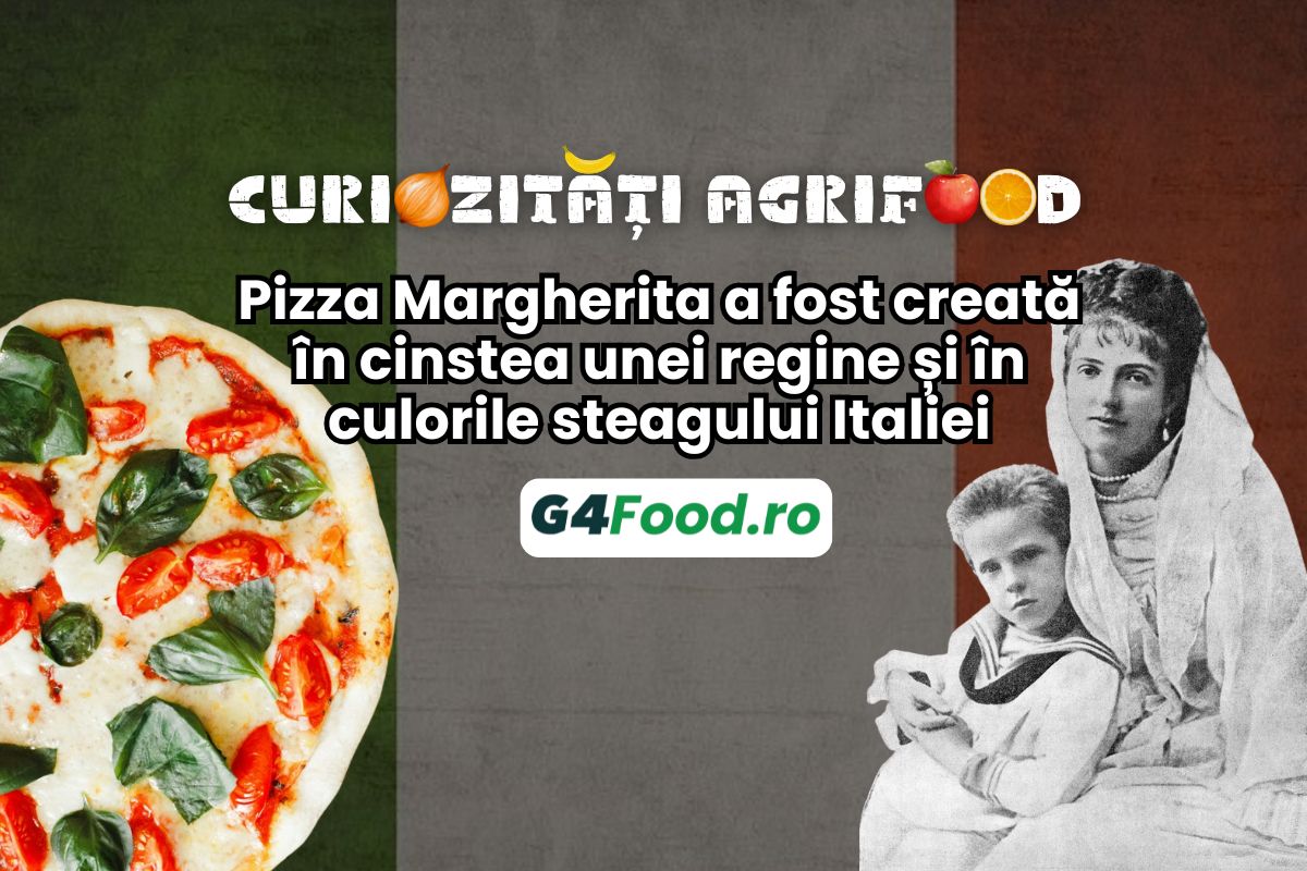 pizza margherita