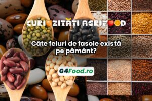 G4FOOD Curiozități agrifood(1)