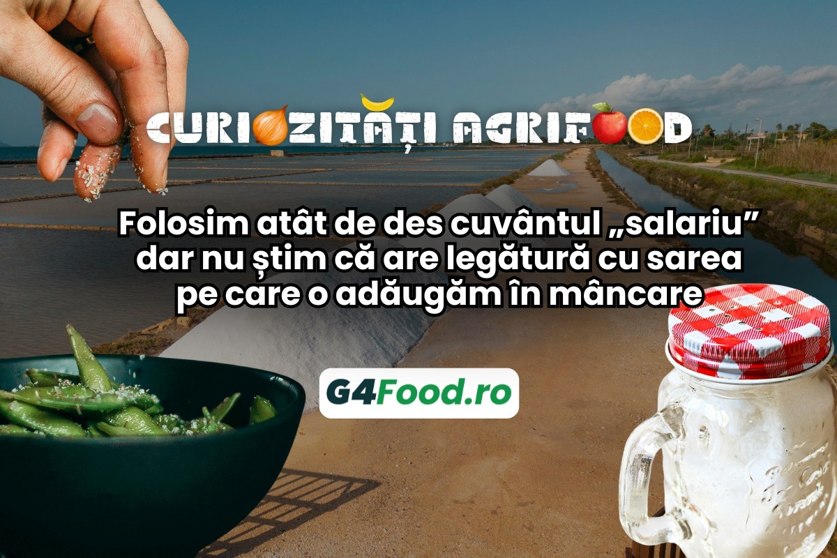 G4FOOD Curiozități agrifood(2)