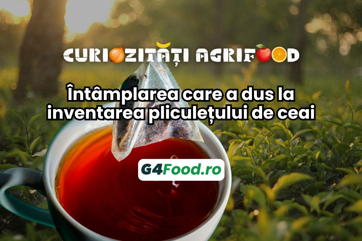 SITE TN - G4FOOD(6)