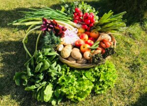 legume, ajutor de minimis, ministerul agriculturii