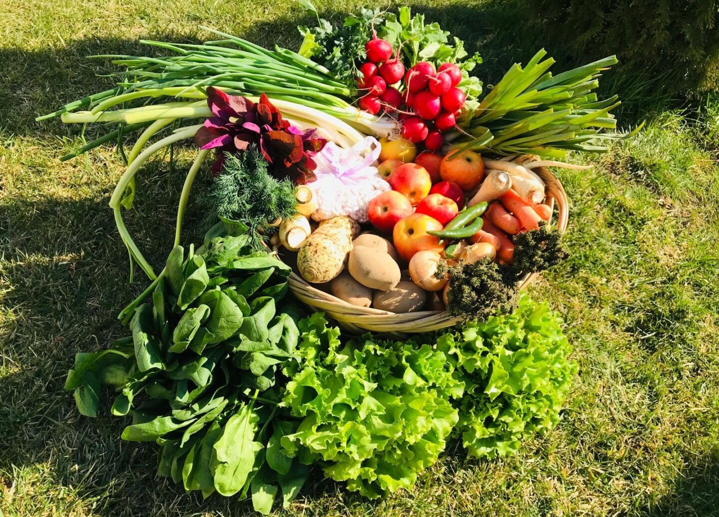 agricultură, alimentație sănătoasă, poveste de familie, Băleni, Mădălina Chiriță