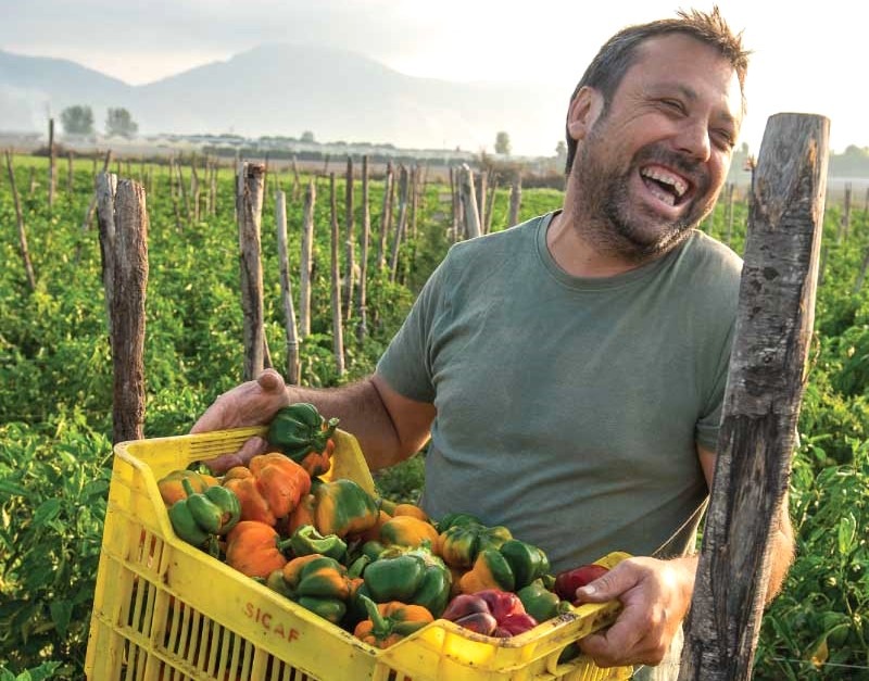 gogosari Napoli banca de seminte produse traditionale locale reteta de salata de conopida si gogosari insalata di rinforzo reteta traditionala de Craciun