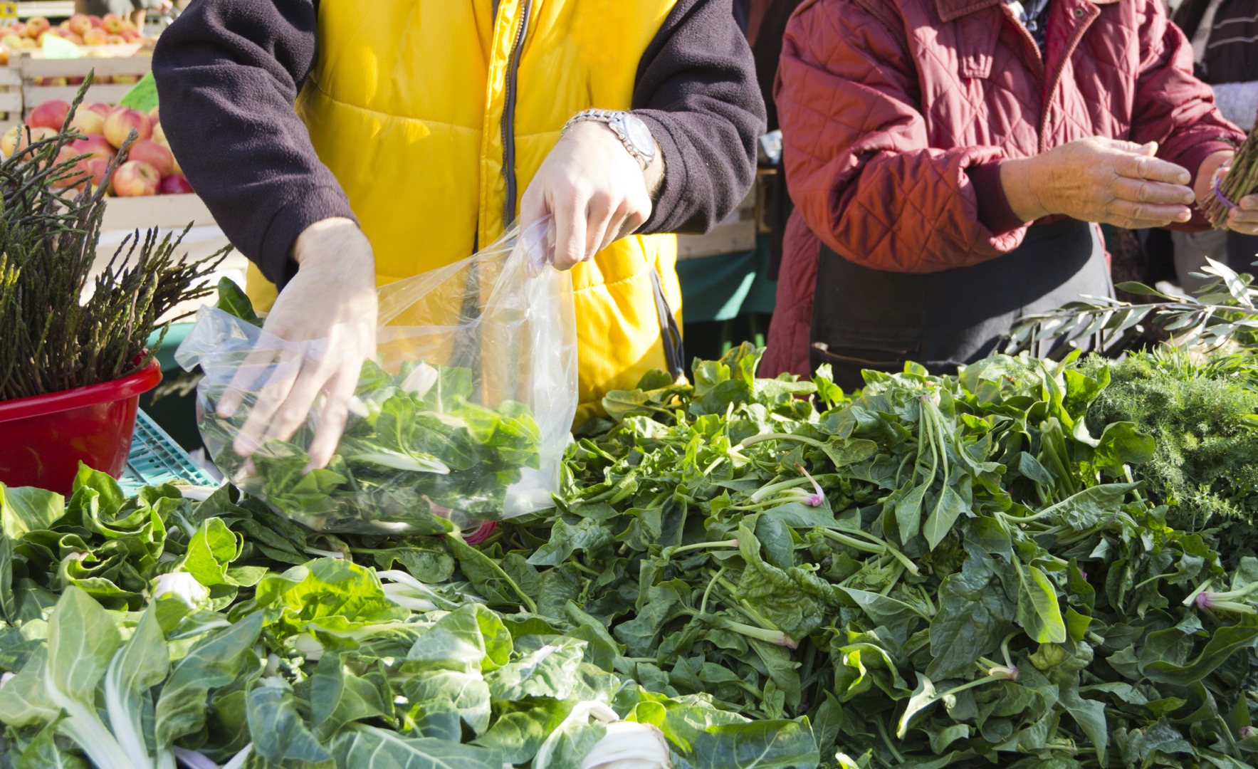 Cum să păstrezi salata proaspătă mai mult timp