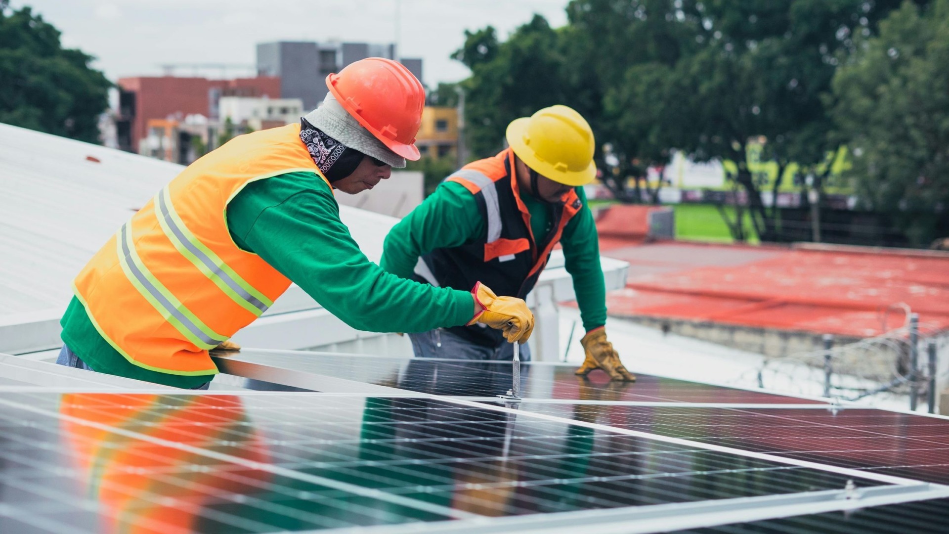 panouri fotovoltaice, agricultură, energie electrică