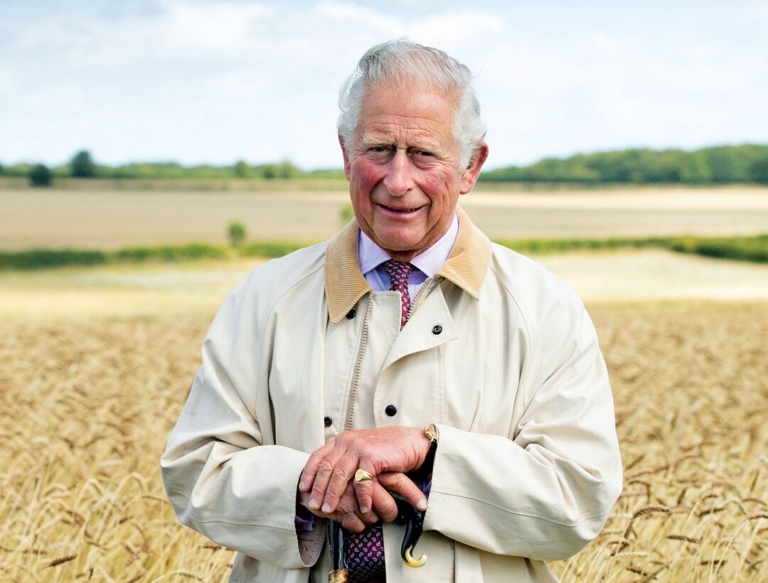 Coronation-Food-Project-regele-Charles-risipa-alimentara