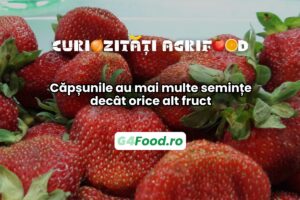 Căpșunile sunt fructele cu cele mai multe semințe