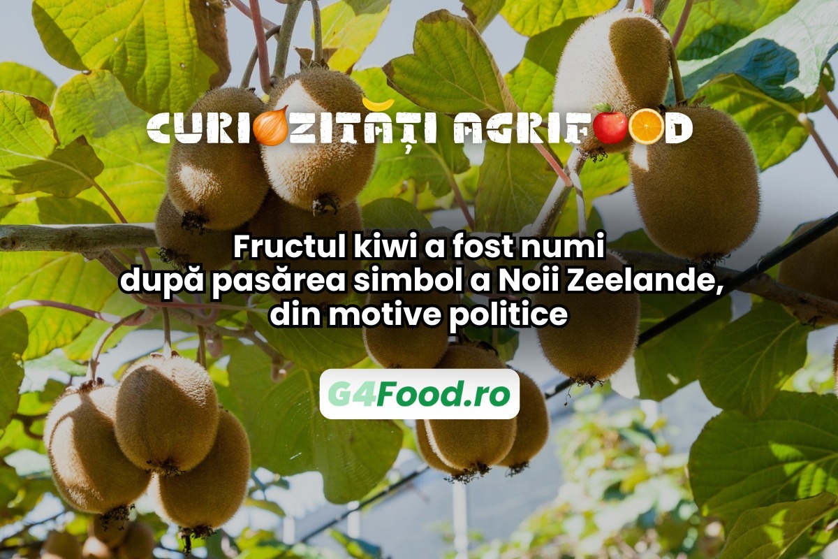 Fructul kiwi a primit acest nume din motive politice