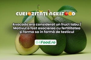 Fructul avocado era considerat fruct tabu din cauza formei sale