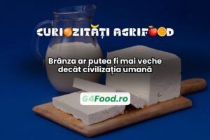 Brânza ar putea fi mai veche decât civilizația și a apărut din greșeală