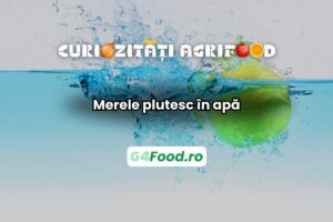 Merele plutesc în apă datorită aerului pe care îl conțin