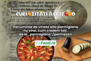 denumire parmigiana di melanzane vinete alla parmigiana scut