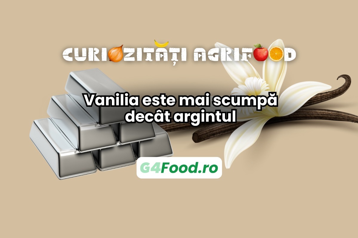 G4FOOD Curiozități agrifood25