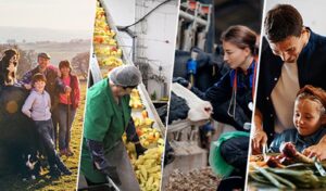 Comisia Europeană înființează Consiliul European pentru Agricultură și Alimentație