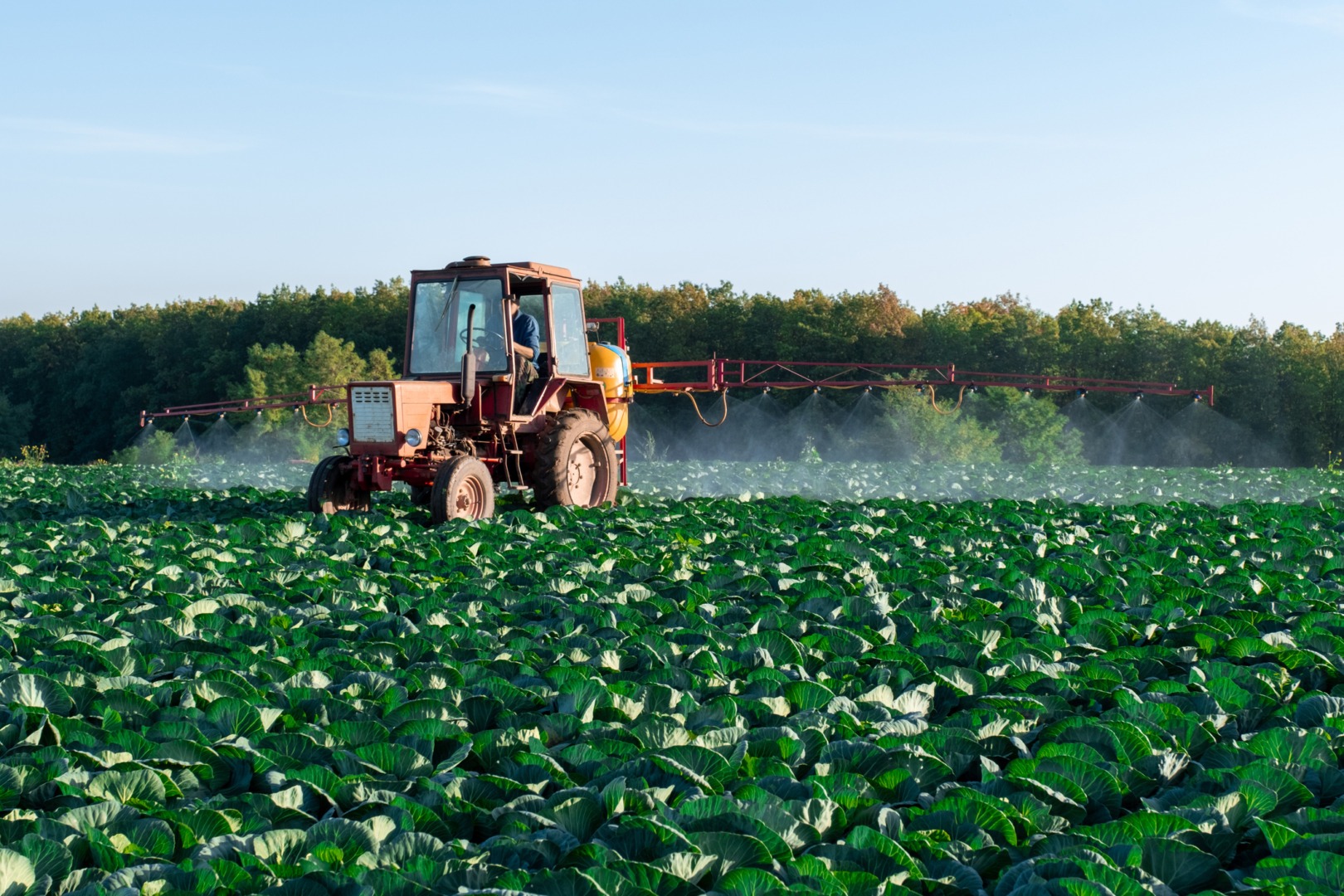 Regenagri lansează un program de compensare a emisiilor de carbon