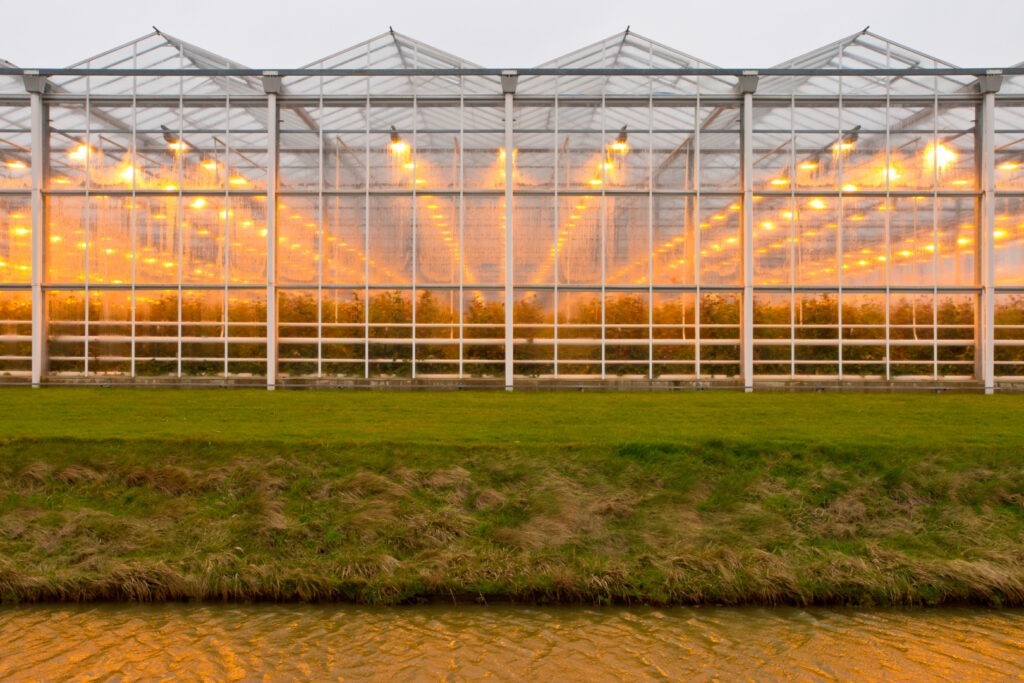 Agricultura în mediu controlat este o necesitate a zilelor noastre