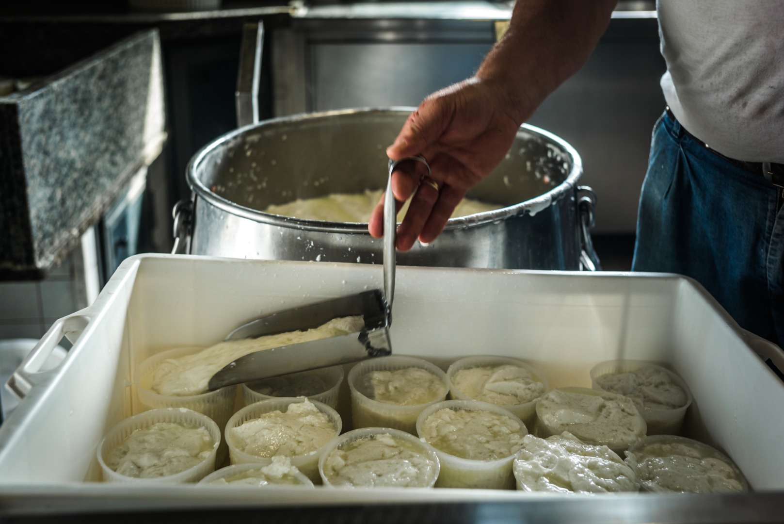 Ricotta sau brânză de vaci, cum să le alegi pe cele mai bune