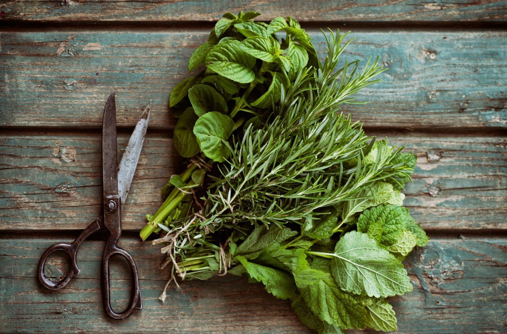 Ghidul plantelor aromatice în bucătărie