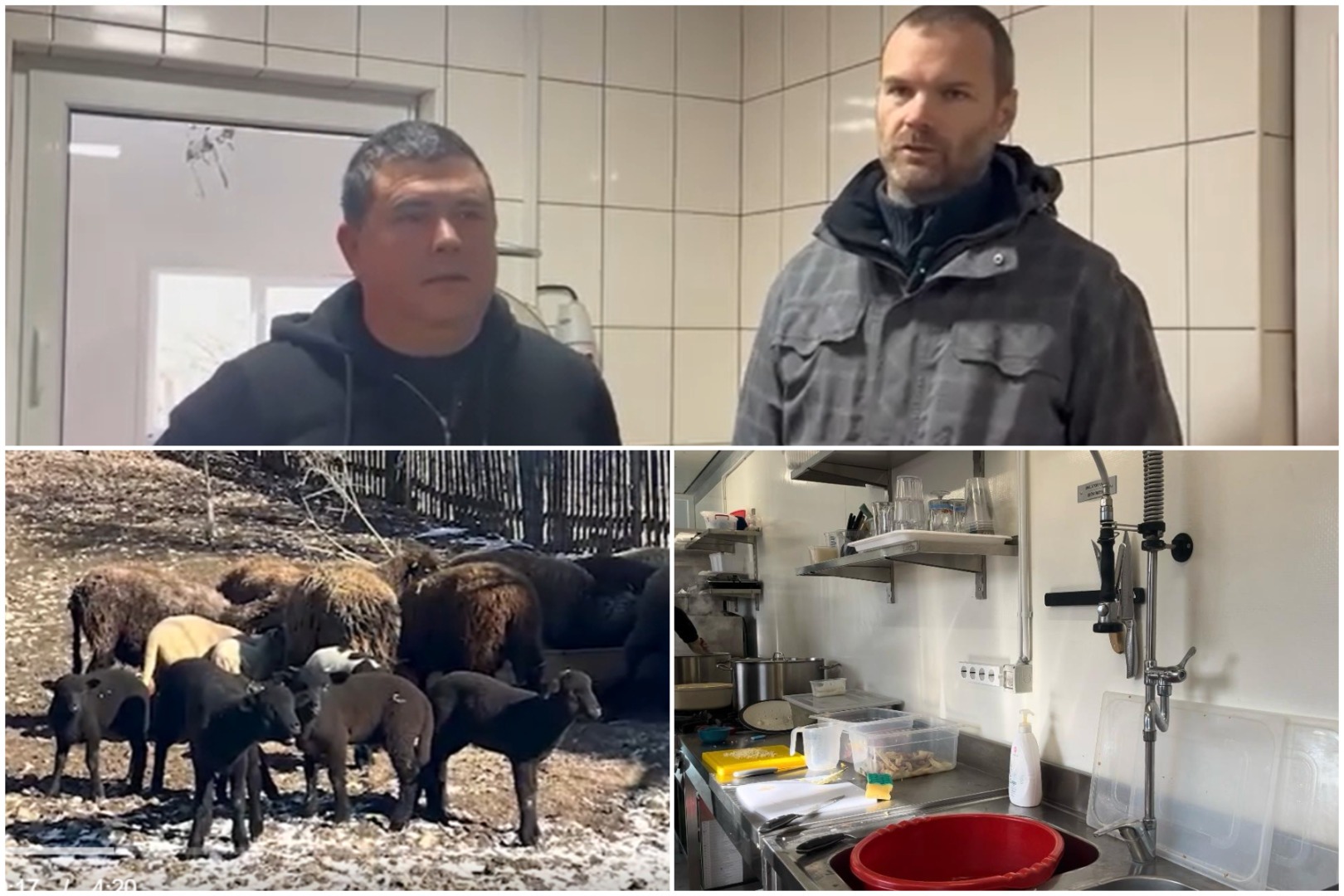 fermier cu valoare adăugată, procesare, porci, bovine, bucătărie mobilă