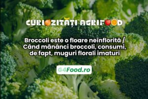 Broccoli este o floare neînflorită