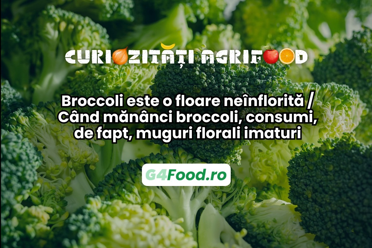 Broccoli este o floare neînflorită